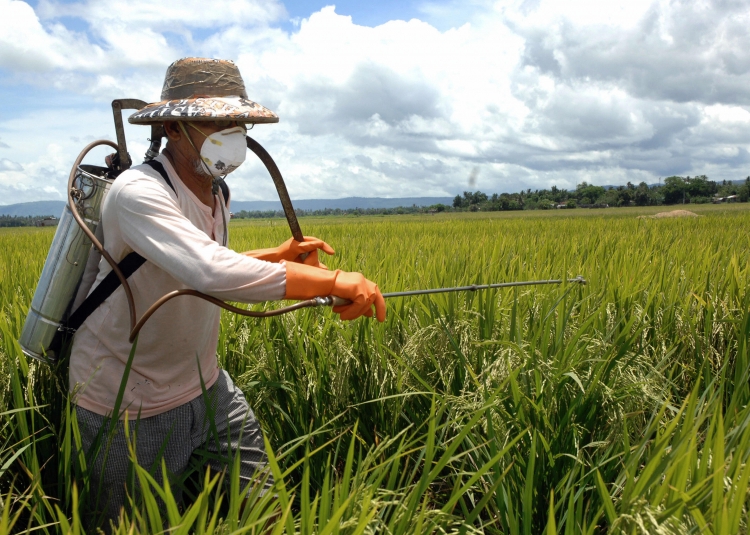 FERTILIZERS AND PESTICIDES EPUB FERTILIZERS AND PESTICIDES EPUB